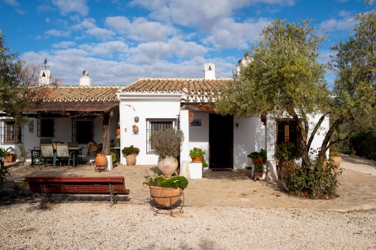 Refugio Andaluz Con Piscina Entre Olivos فييانويفا ذي تابيا المظهر الخارجي الصورة