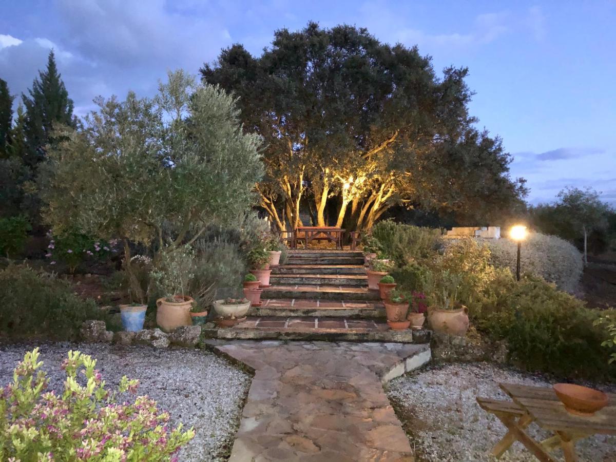 Refugio Andaluz Con Piscina Entre Olivos فييانويفا ذي تابيا المظهر الخارجي الصورة