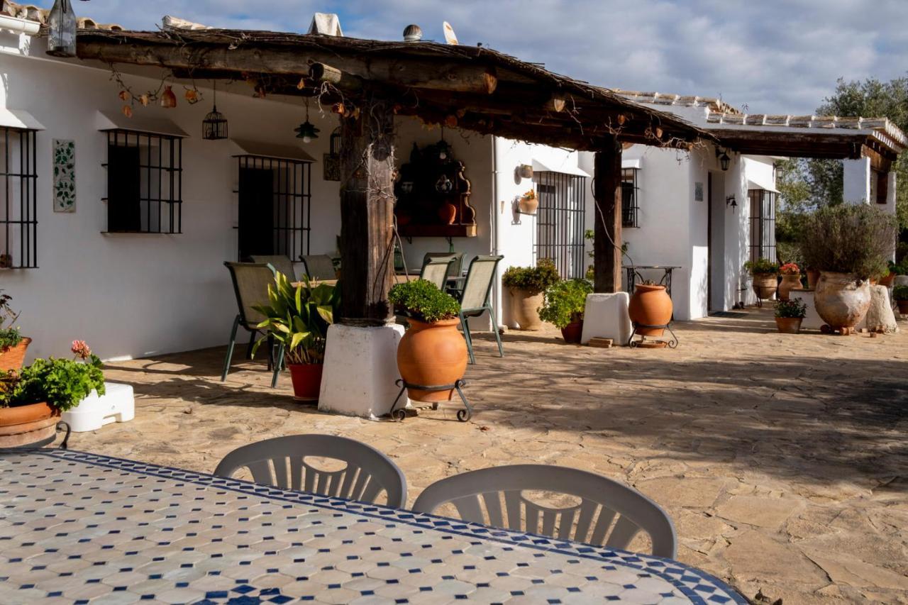 Refugio Andaluz Con Piscina Entre Olivos فييانويفا ذي تابيا المظهر الخارجي الصورة