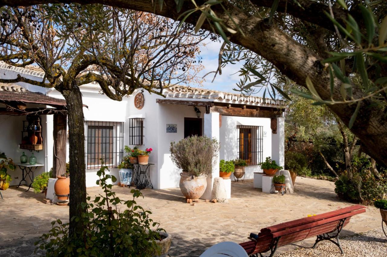 Refugio Andaluz Con Piscina Entre Olivos فييانويفا ذي تابيا المظهر الخارجي الصورة