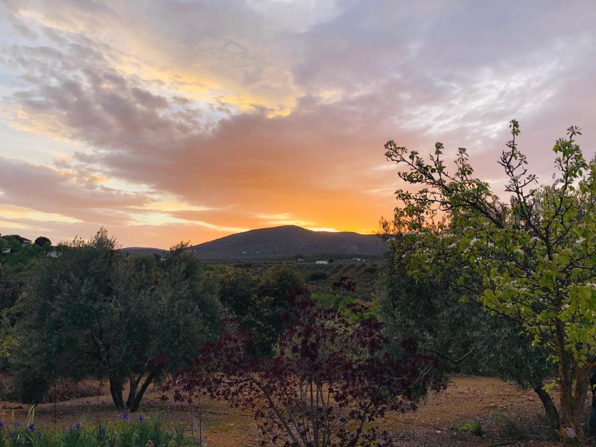 Refugio Andaluz Con Piscina Entre Olivos فييانويفا ذي تابيا المظهر الخارجي الصورة