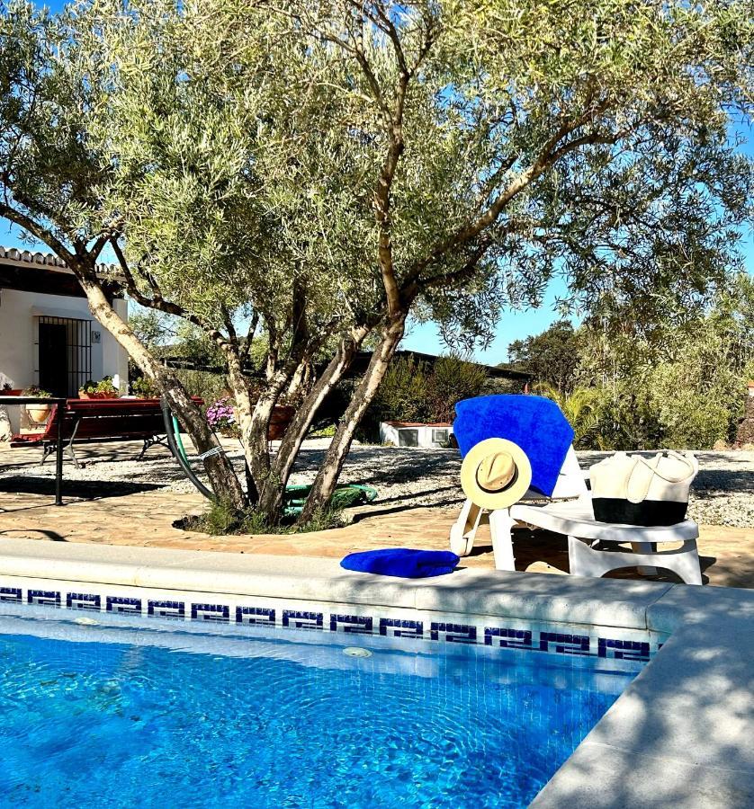 Refugio Andaluz Con Piscina Entre Olivos فييانويفا ذي تابيا المظهر الخارجي الصورة