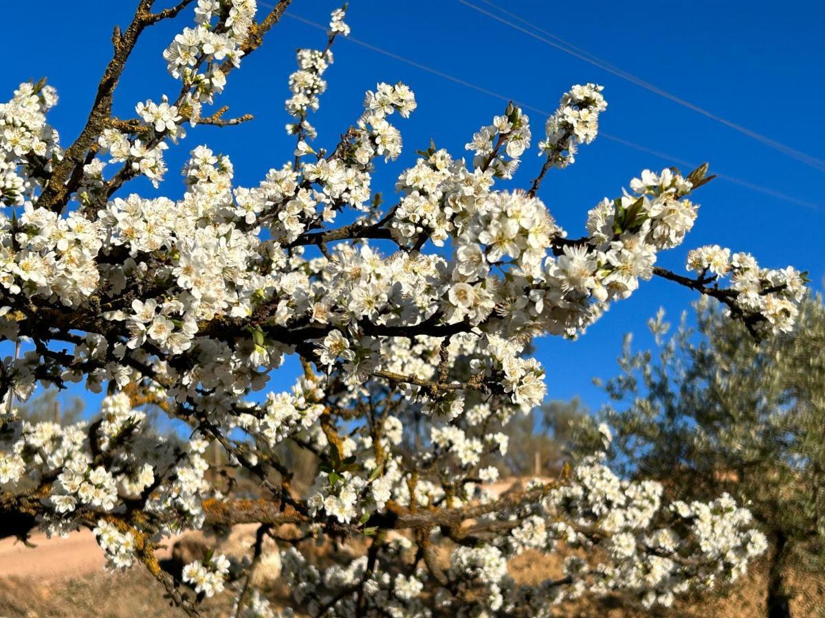Refugio Andaluz Con Piscina Entre Olivos فييانويفا ذي تابيا المظهر الخارجي الصورة