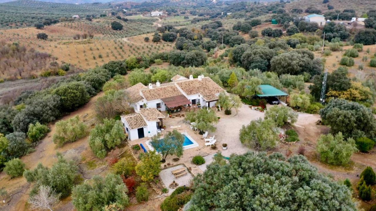 Refugio Andaluz Con Piscina Entre Olivos فييانويفا ذي تابيا المظهر الخارجي الصورة