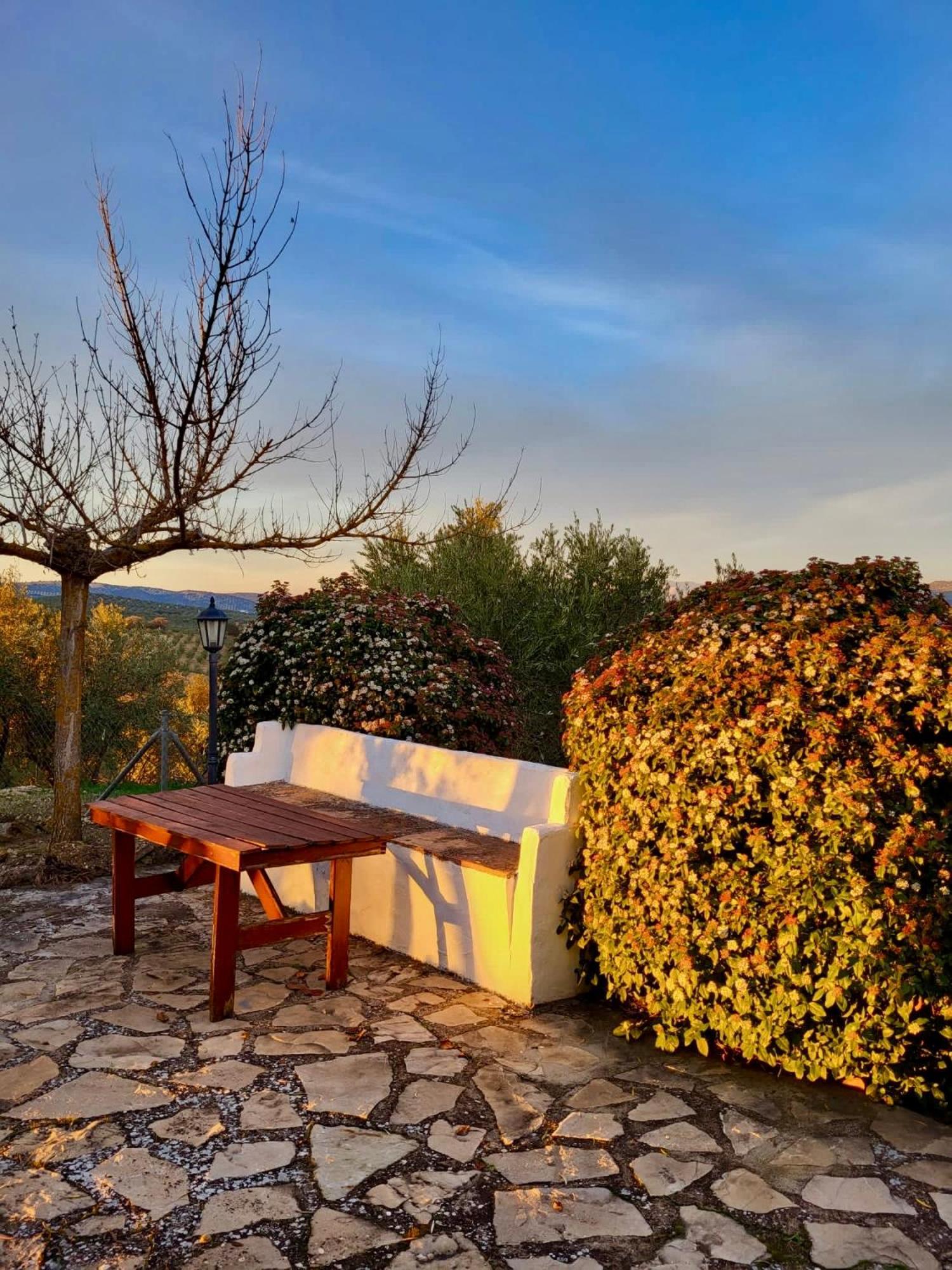 Refugio Andaluz Con Piscina Entre Olivos فييانويفا ذي تابيا المظهر الخارجي الصورة