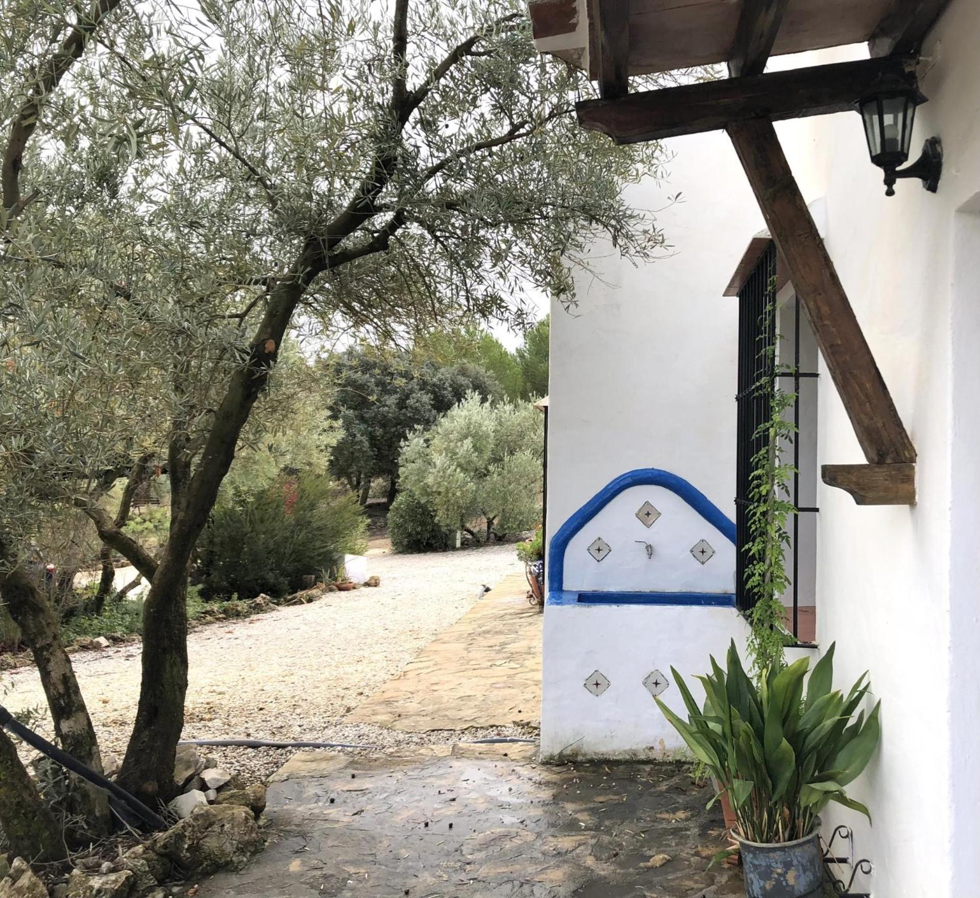 Refugio Andaluz Con Piscina Entre Olivos فييانويفا ذي تابيا المظهر الخارجي الصورة
