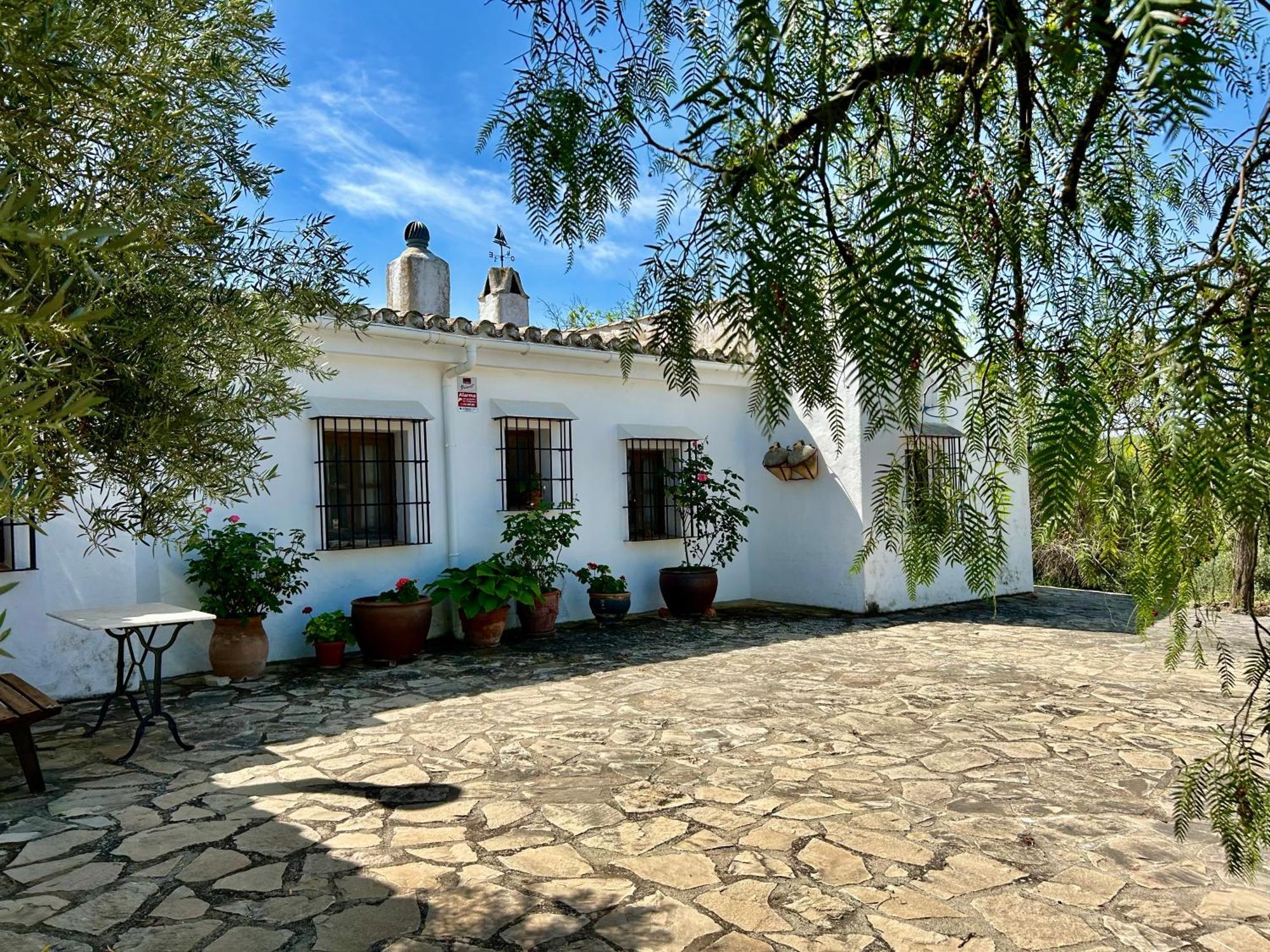 Refugio Andaluz Con Piscina Entre Olivos فييانويفا ذي تابيا المظهر الخارجي الصورة