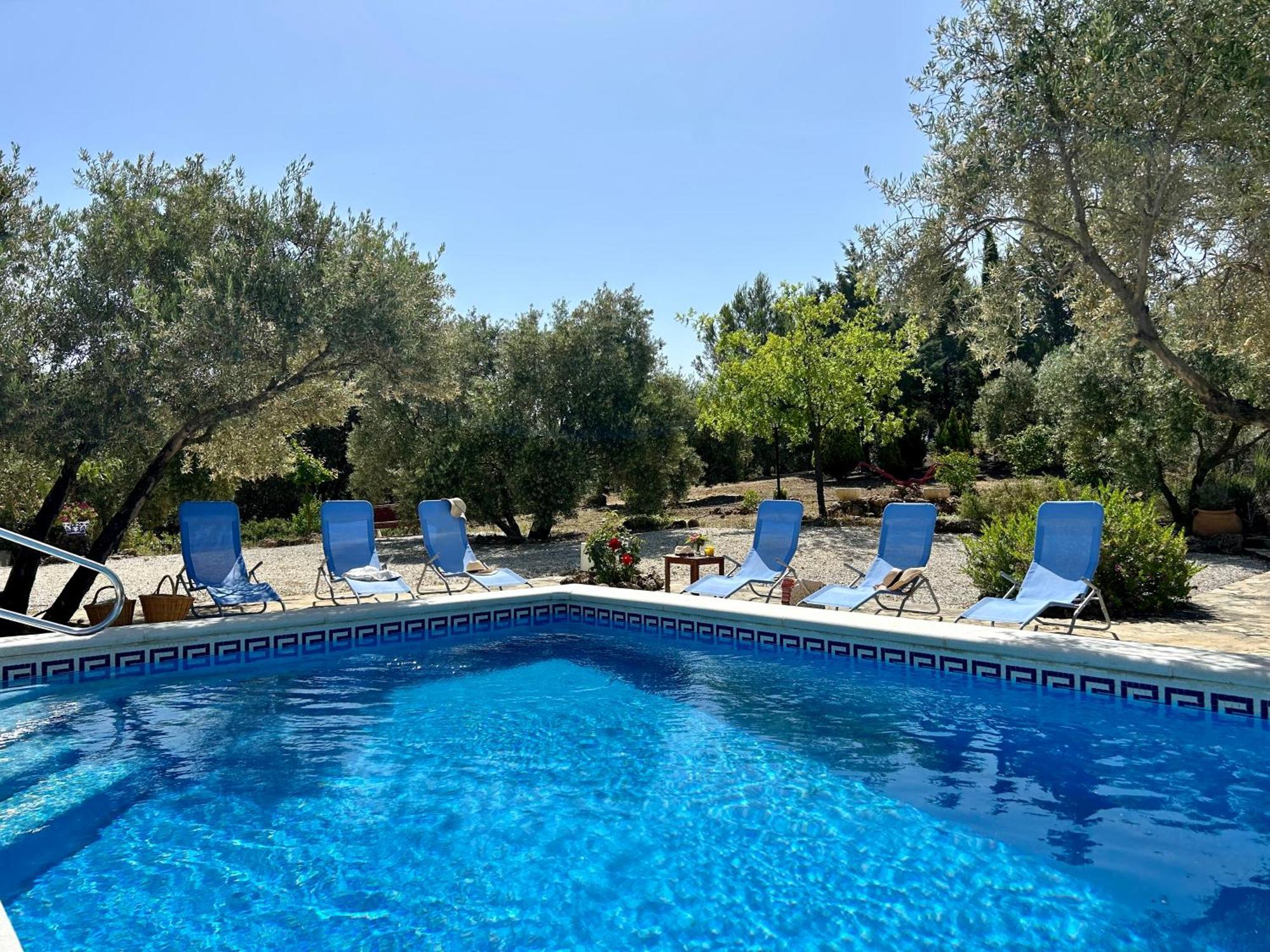 Refugio Andaluz Con Piscina Entre Olivos فييانويفا ذي تابيا المظهر الخارجي الصورة