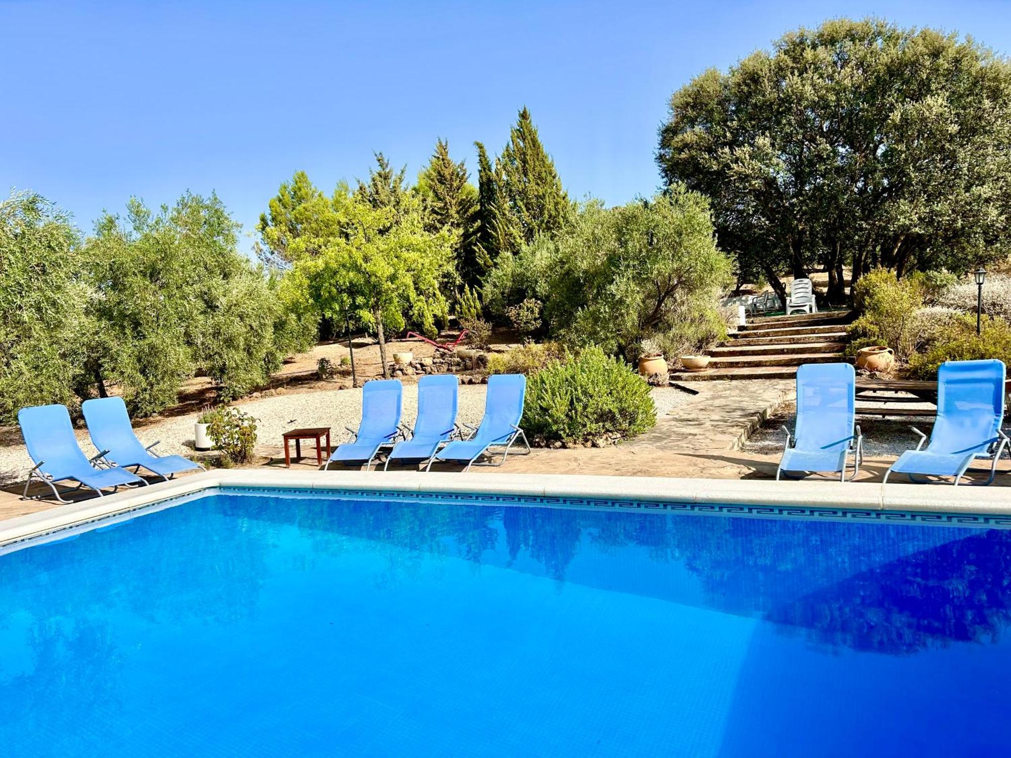 Refugio Andaluz Con Piscina Entre Olivos فييانويفا ذي تابيا المظهر الخارجي الصورة